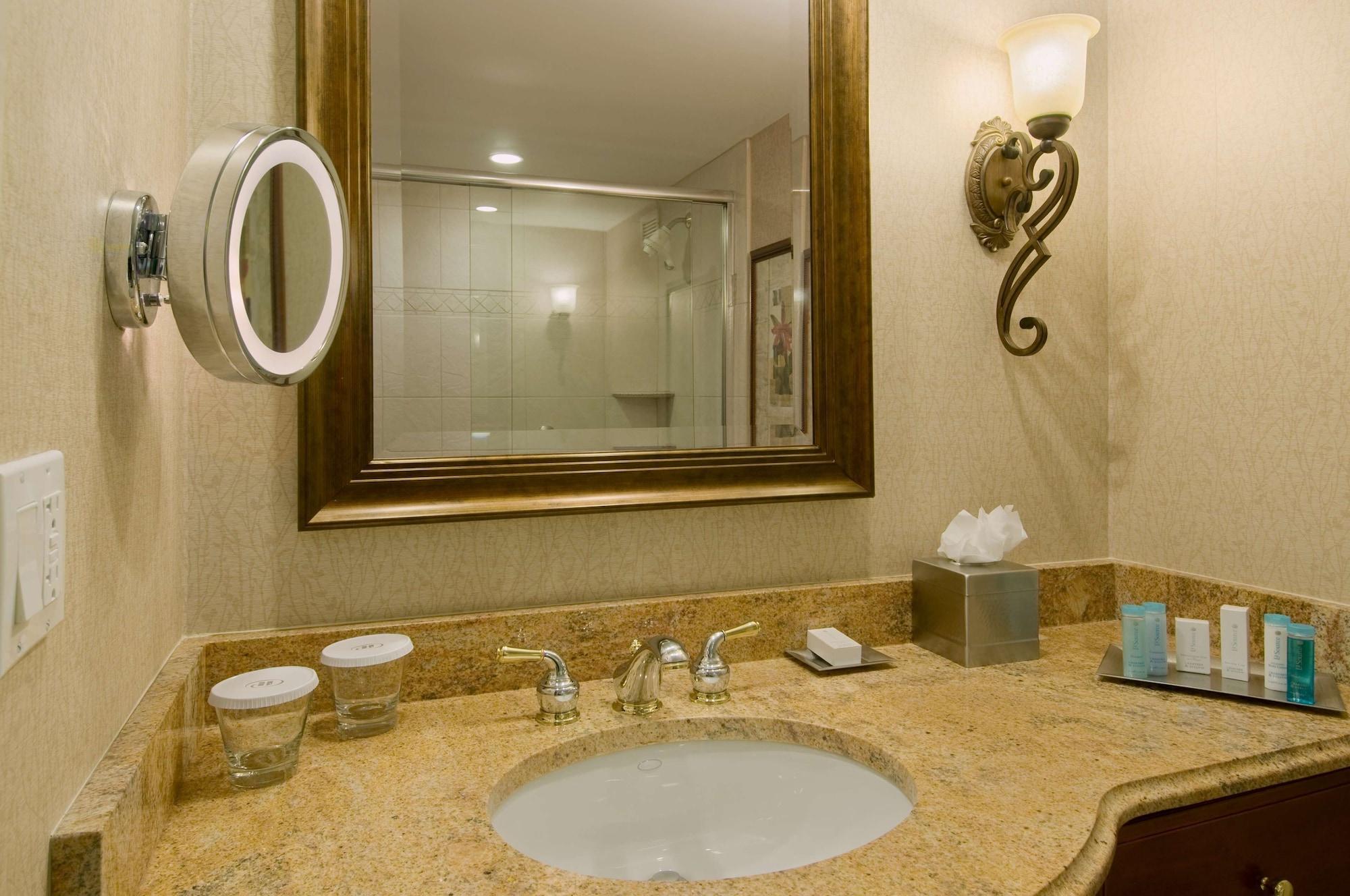 Doubletree By Hilton Lisle Naperville Номер фото